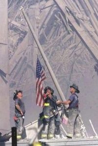 9113