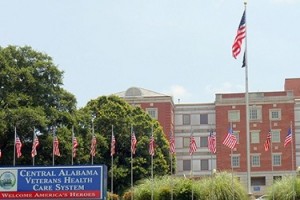 VA fires director