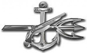 Rating_Badge_SO