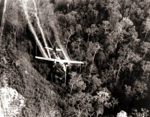 VA Approves Coverage for Agent Orange Exposure: Military Connection