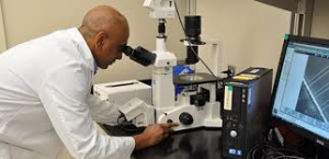 military connection: navy research
