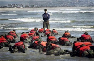 sealtraining