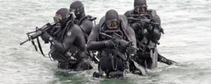 seals