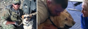 mwd