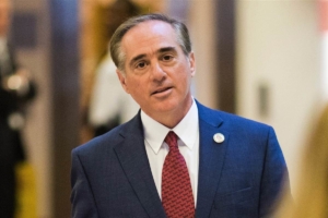 shulkin