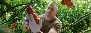 farmer