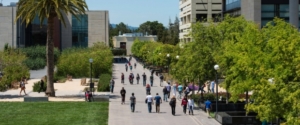 stanford university