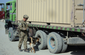Staff Sgt. Shawn Martinez and Bono, a tactical explosive detection dog, inspect an Afghan truck for explosives near Forward Operating Base Sharana, Afghanistan. (U.S. Army photo by 2nd Lt. Jacob Giardini)