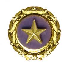 Flawed Gold Star Access Bill Ignores Some Surviving Families
