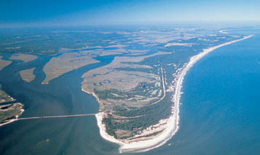 Amelia Island