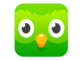 duolingo app