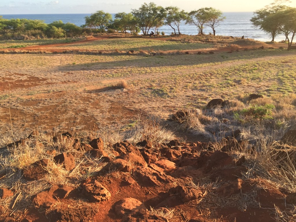 Russian Fort Elizabeth